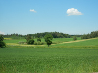 Pole s výskytem drahých kamenů a nerostů