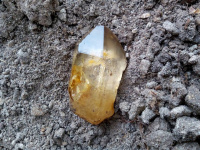 Krystal pravého moravského citrínu zachycený hned po nalezení v naší přírodě