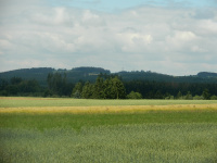 Zdejší kopcovitá krajina je porostlá převážně jehličnatými lesy