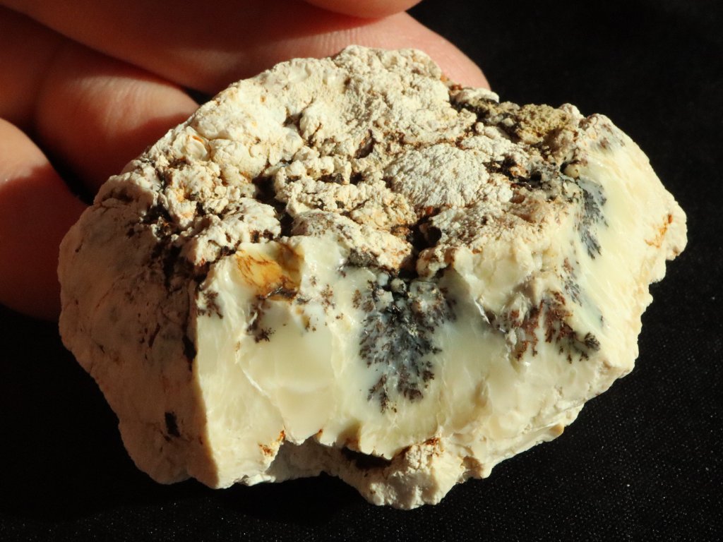 opal dendriticky dendrity kerickovy mechovy stromeckovy obrazek 1