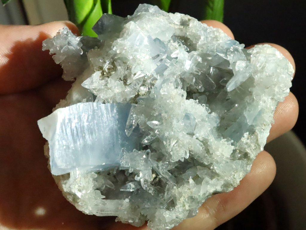 celestin celestyn drahy kamen modry ciry bily druza spicek obrazky 1