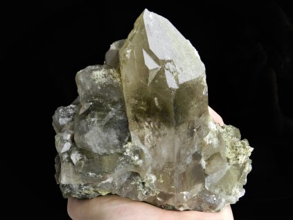 zahneda velka srostlice druza prodej alpy kamen 1