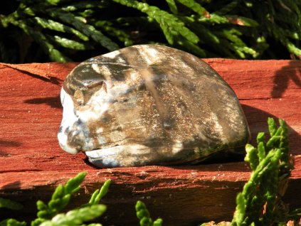 prirodni zkamenele drevo tromlovany kamen obrazek 1