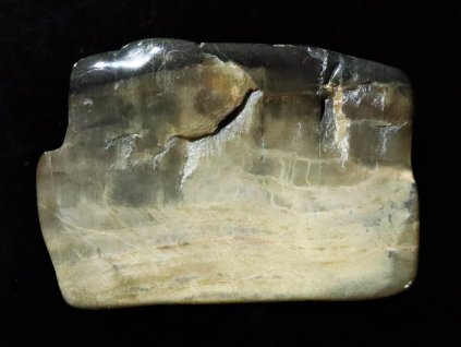 araukarit zkamenele drevo kamen cesky obrazky 1