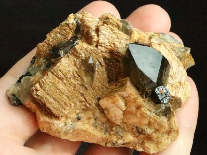 estetika pro sberatele podlozkovy vzorek zahnedy pikarec stary nalez prodej 1