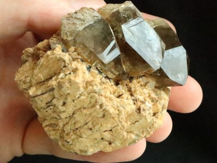 zahneda kvalitni sbirkovy vzorek bobruvka stary nalez obrazky 1