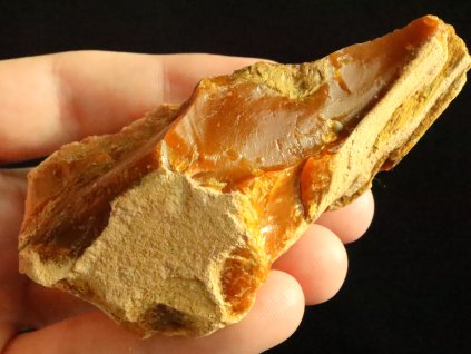 opal drevity slovensko prodej obrazky 1