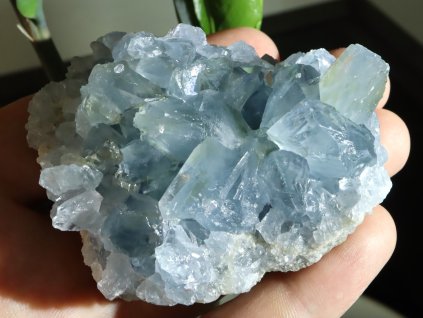 celestin celestyn dryh kamen modry madagaskar 1