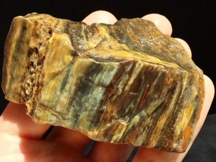 zkamenele drevo mineral nerost prodej nabidka 1
