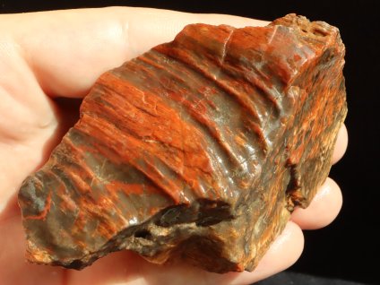araukarit kamenne drevo cesky mineral fotografie 1