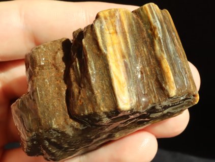 zkamenele drevo araukarit prodej mineralu kamenu 1