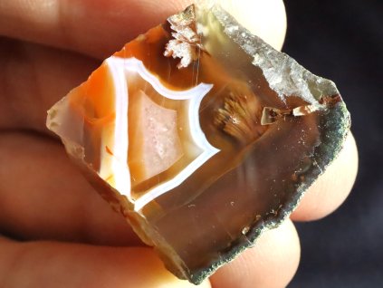 achat ceske republiky lesteny 1