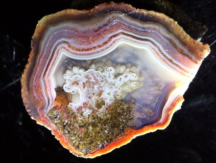 achat nevsedni vypln 1