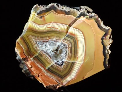 achat zkamenele drevo 1