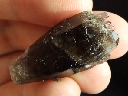 morion samolecitel dohojeny 1