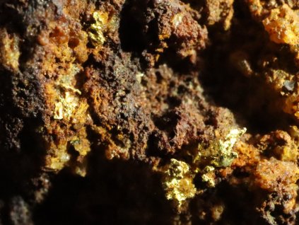 zlatinky ryzi zlato zlate hory ceska republika 1