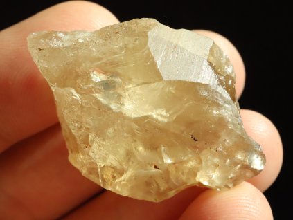 citrin kourove tony 1