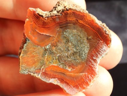 achat lesteny cesky pravy 1