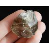zahneda fragment krystalu kourovy dolni bory obrazky 3