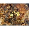 zlato prirodni ryzi mineral stola mir zlate hory luxusni sbirkovy kamen vzorek prodej 2