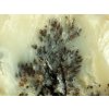 opal dendriticky dendrity kerickovy mechovy stromeckovy obrazek 3