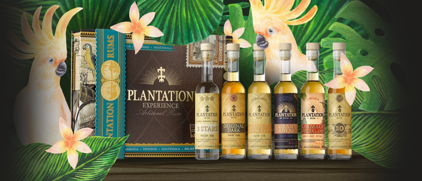 Plantation Experience