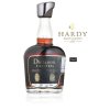 Dictador Hardy Spring