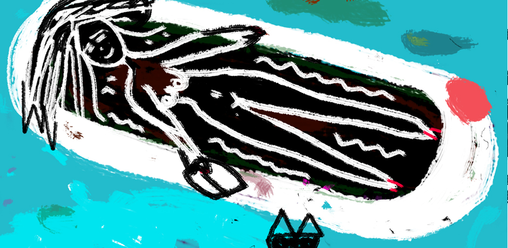 Jak jsem pořídil snímek mořské panny