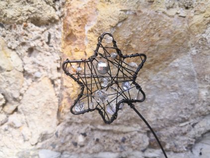 Hvězdičkovník na špalíčku bílý