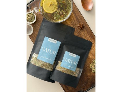 ZÁPAL PRIEDUŠIEK (BRONCHITÍDA)