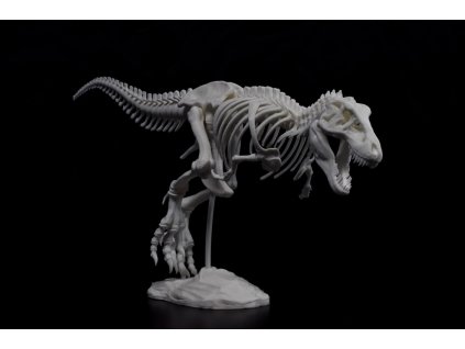 Kostra T-Rex