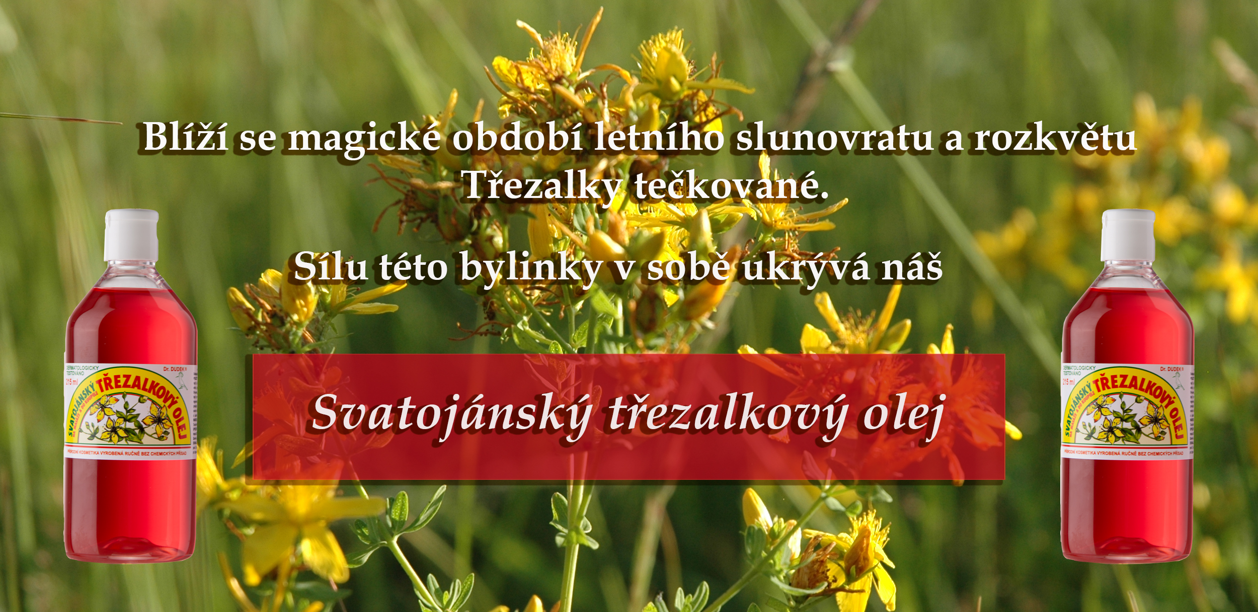 Svatojánský třezalkový olej z bylinky Sv. Jana Křtitele