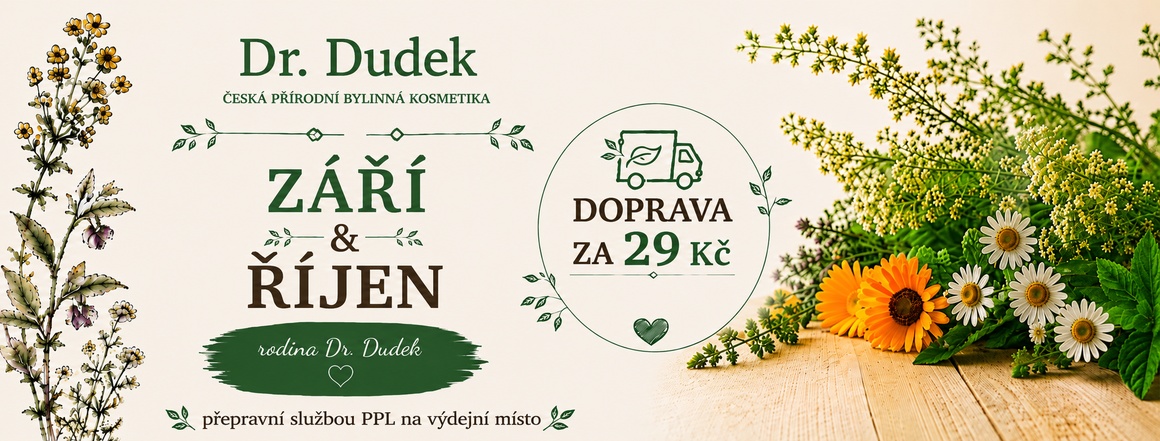 doprava za 29