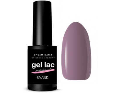 Gél Lak Dreamnails  PROFESIONAL FROSTY MORNING 10 5ml