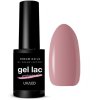 Gél Lak Dreamnails  PROFESIONAL FROSTY MORNING 8 5ml