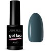 Gél Lak Dreamnails  PROFESIONAL WINKS 2 5ml