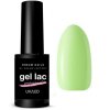 Gél Lak Dreamnails  PROFESIONAL LOLLIPOP 8 5ml