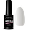 Gél Lak Dreamnails  PROFESIONAL GRAY 202 5ml