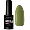 Gél Lak Dreamnails  PROFESIONAL GREEN 802 5ml