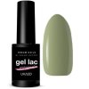 Gél Lak Dreamnails  PROFESIONAL GREEN 801 5ml