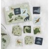 PGMEDI04 LR 5 Memory game Dinosaurs