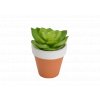 Amadeus Malá umělá rostlinka v květináči 8 x 9 cm