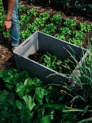 Pre koho je vlastne náš CSA program? 🤔 Nie ste si istí, či je predplatné zeleniny (CSA) to pravé pre vás? Pripravili sme...