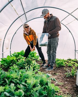 AJ VY UŽ PLÁNUJETE SVOJU ZÁHRADKU? JEDNA RADA: ODLOŽTE RÝĽ. Možno vás učili, že na jar treba záhradu poriadne prekyprovať...