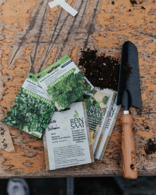 ZÁHRADNÝ “TETRIS” ALEBO PREČO NESADÍME LEN TAK NAHODILO 🌱 Možno to vyzerá jednoducho – spraviť riadok, vložiť semienko a...