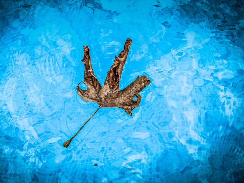 AKO SPRÁVNE ZAZIMOVAŤ BAZÉN