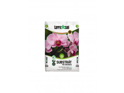 pre orchidey