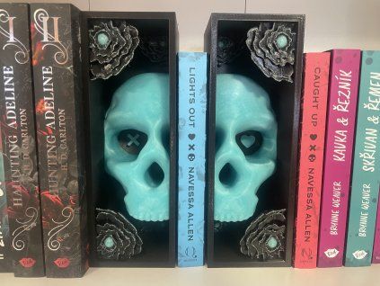 Blue Skull BookNook