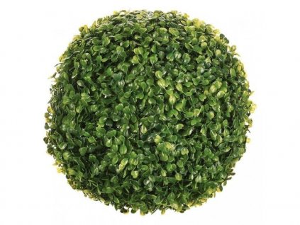 Buxus dekorace