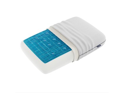 Technogel Deluxe H14 45 half